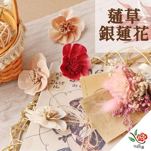 極度花燥 永生花乾燥花材專賣店 蓪草銀蓮花 5個 分裝 花材