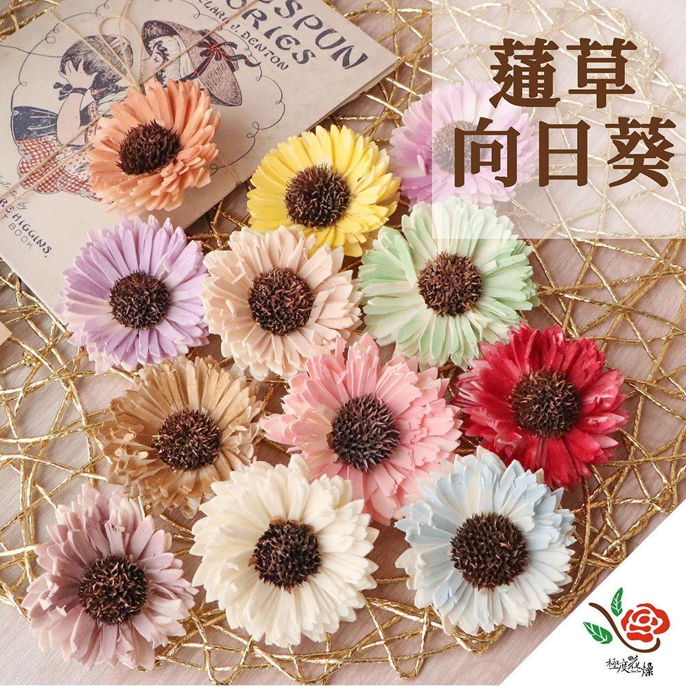 極度花燥 永生花乾燥花材專賣店 印度進口 蓪草向日葵 5個 分裝 花材