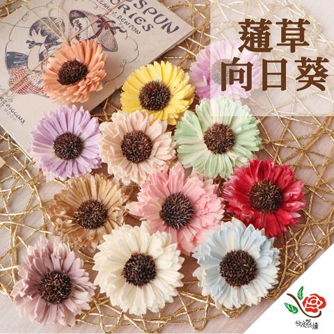 極度花燥 永生花乾燥花材專賣店 印度進口 蓪草向日葵 5個 分裝 花材