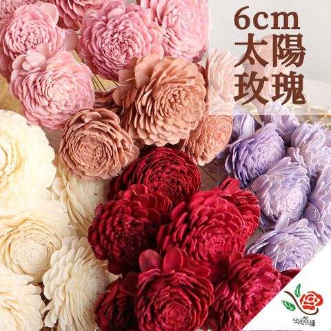 極度花燥 永生花乾燥花材專賣店 日本進口大地農園 蓪草太陽玫瑰 6CM 5朵 分裝 花材