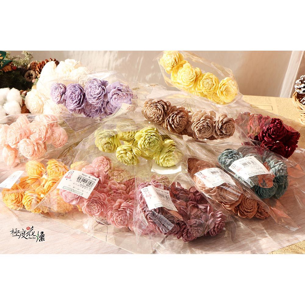 極度花燥 永生花乾燥花材專賣店 日本進口大地農園 蓪草太陽玫瑰 6CM 5朵 分裝 花材