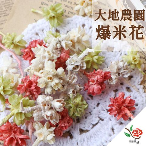 【極度花燥】大地農園 爆米花