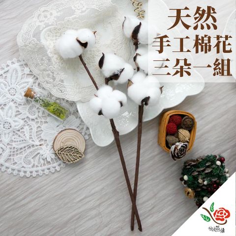 極度花燥 永生花乾燥花材專賣店 手工棉花 三朵一組*2份 分裝 花材