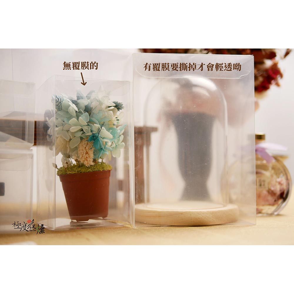 極度花燥 永生花乾燥花材專賣店 正方形 5x5x5 有膜 一份6個 分裝 資材