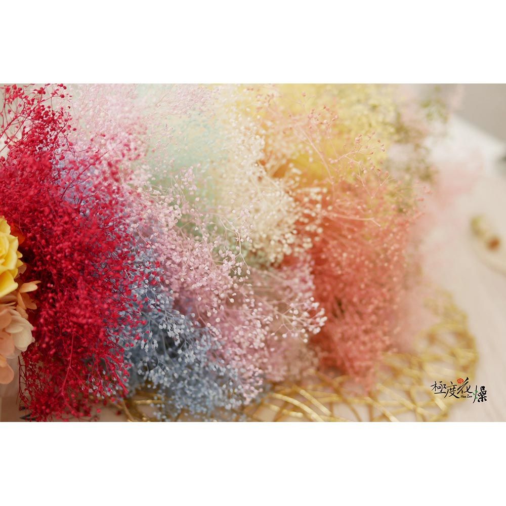 極度花燥 永生花乾燥花材專賣店 日本進口大地農園 單色滿天星 2份(一份約3克) 分裝 花材
