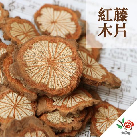 極度花燥 永生花乾燥花材專賣店 紅藤木片 一份20片 分裝 果實