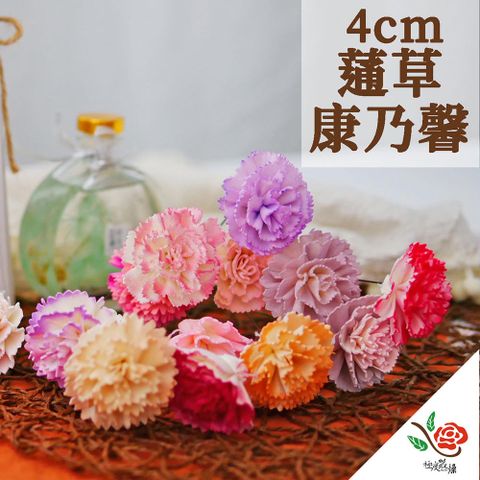 極度花燥 永生花乾燥花材專賣店 蓪草康乃馨 小康乃馨4CM 5個 分裝 花材