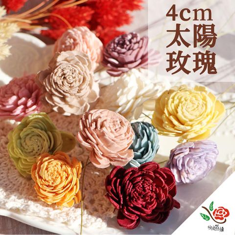 極度花燥 永生花乾燥花材專賣店 日本進口大地農園 蓪草太陽玫瑰 4CM 5朵 分裝 花材