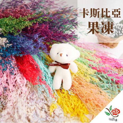 極度花燥 永生花乾燥花材專賣店 卡斯比亞 果凍 3份(約19g) 分裝 花材
