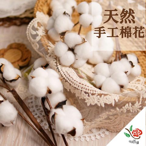 極度花燥 永生花乾燥花材專賣店 手工棉花 3個 分裝 花材