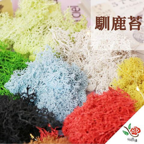 極度花燥 永生花乾燥花材專賣店 馴鹿苔 一份約40g 分裝 葉材
