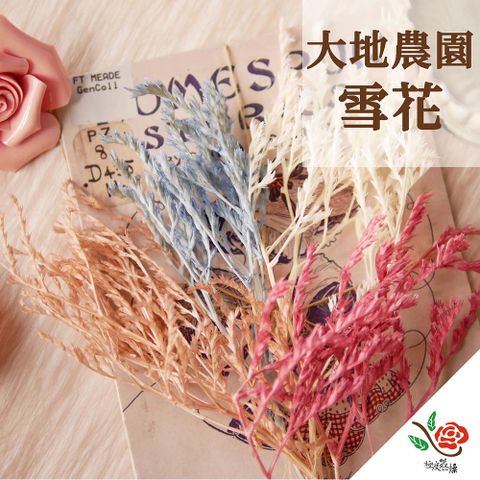 【極度花燥】大地農園 雪花