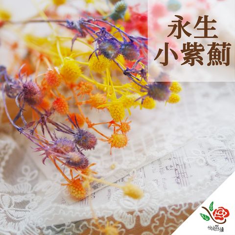 極度花燥 永生花乾燥花材專賣店 永生小紫薊 3份(一份約20-25顆花頭) 分裝 花材