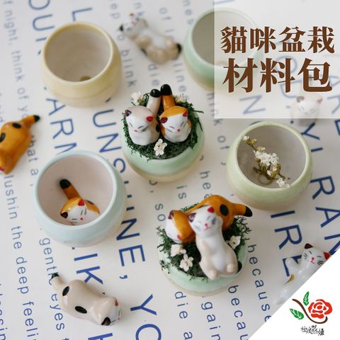 【極度花燥】貓咪盆栽材料包