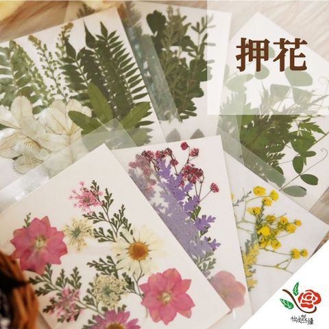 【極度花燥】押花材料包