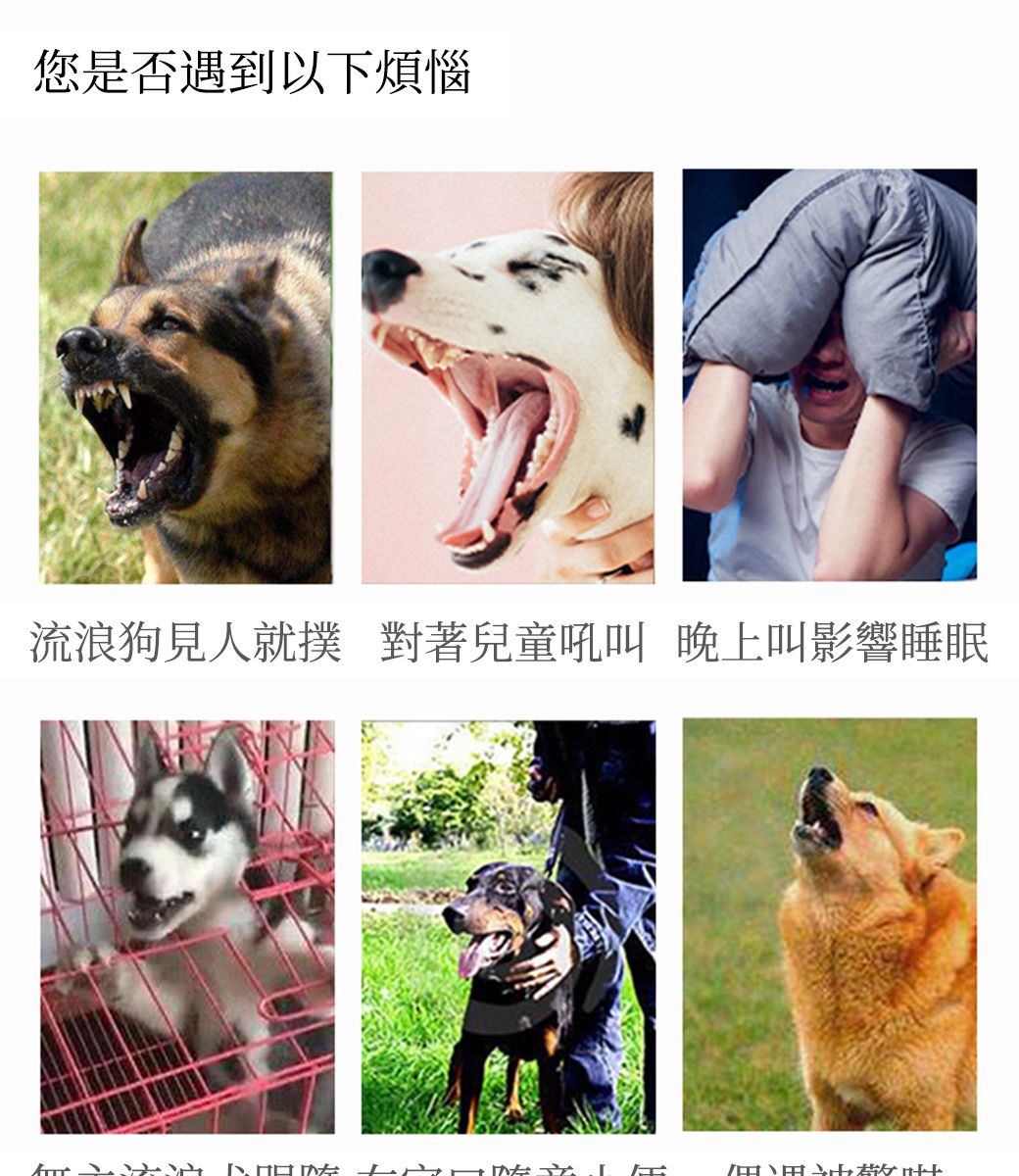 您是否遇到以下煩惱流浪狗見人就撲 對著兒童吼叫 晚上叫影響睡眠