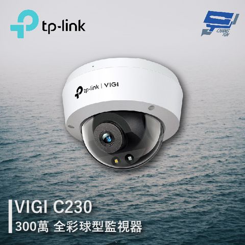 TP-Link 昌運監視器  VIGI C230 300萬 全彩球型監視器 商用網路監控攝影機