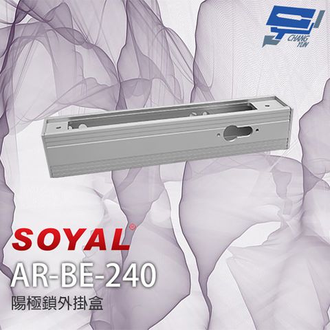 Changyun 昌運監視器 SOYAL AR-BE-240 陽極鎖鎖頭29外掛盒 大單盒 (適用1207A/B-F)