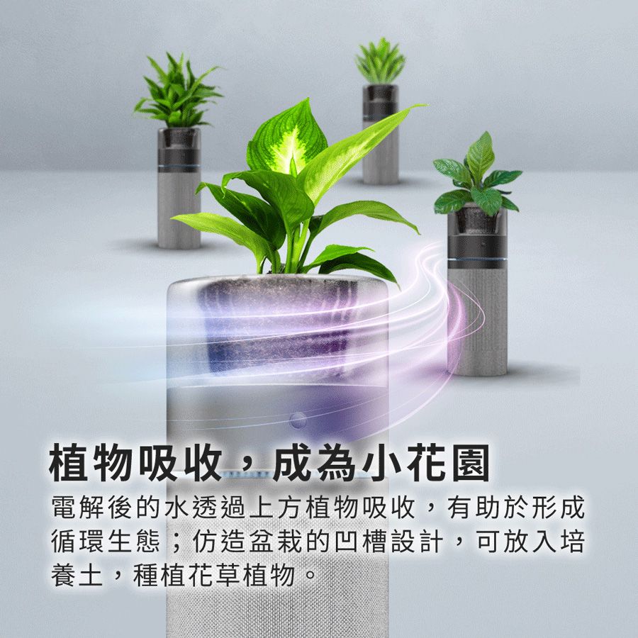 植物吸收,成為小花園電解後的水透過上方植物吸收,有助於形成循環生態;仿造盆栽的凹槽設計,可放入培養土,種植花草植物。