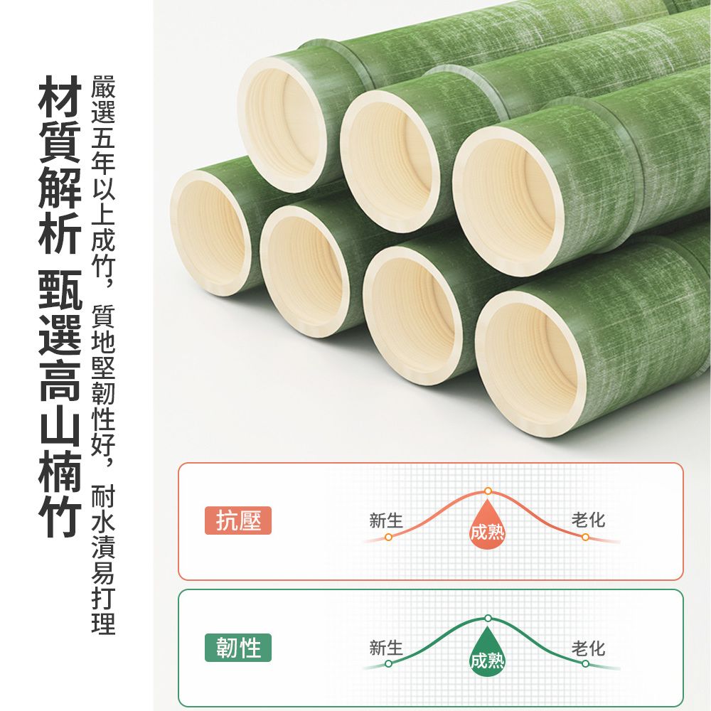 材質解析 甄高山楠選竹抗壓新生老化成熟韌性新生老化