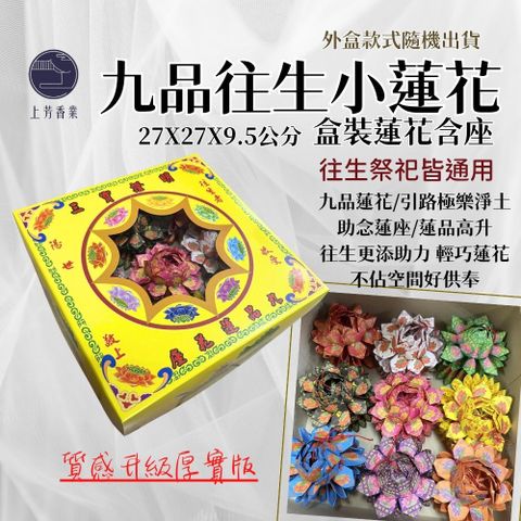 L40 九品小蓮花