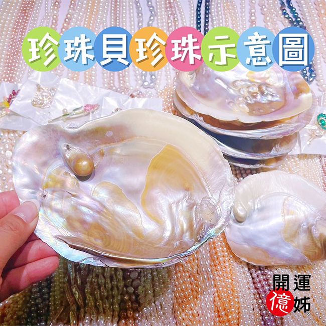 A1寶石 開運桃花珍珠貝珍珠項鍊-輕奢造型養珠款-加贈鋼鍊-招財/開運/桃花/貴人運旺(款式7)
