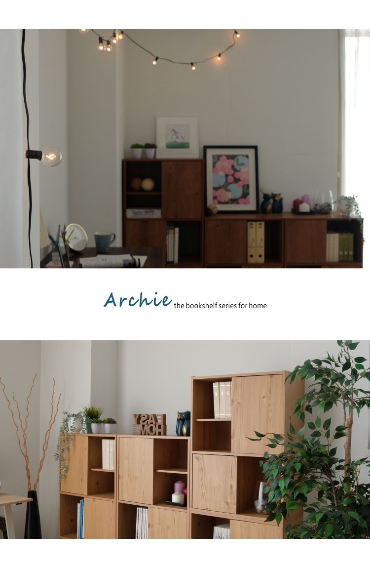 Archie the bookshelf series for home