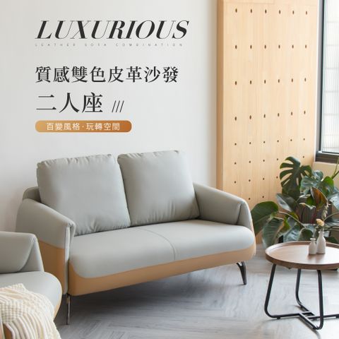 IDEA -艾森質感雙色皮革沙發組-雙人沙發
