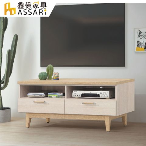 ASSARI-勇梅4尺電視櫃( 寬120x深40x高49cm)