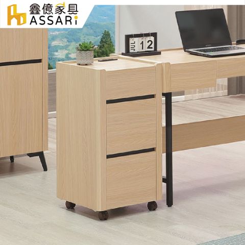 ASSARI-費伊1.3尺活動櫃(寬40x深40x高76cm)