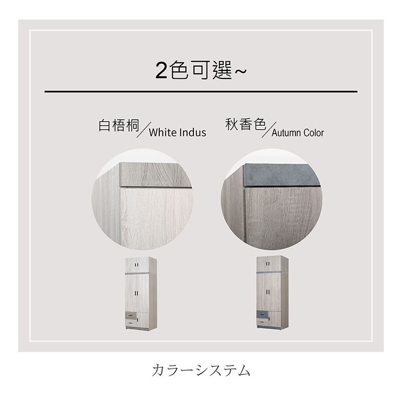 2色可選~白梧桐秋香色White IndusAutumn Colorカラーシステム