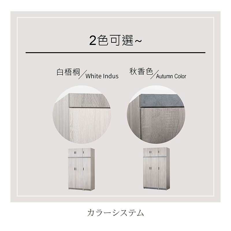 2色可選~白梧桐秋香色White IndusAutumn Colorカラーシステム
