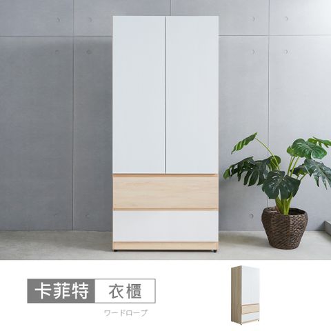 STYLEHOUSE 時尚屋 [FW12]卡菲特木心板3x6尺衣櫃FW12-001