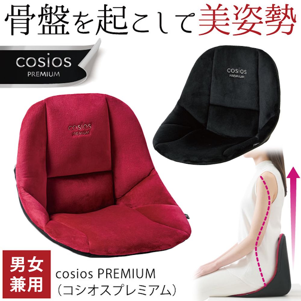  cosios PREMIUM 美姿調整椅 腰背支撐 骨盤支撐 日本Sun Family公司出品