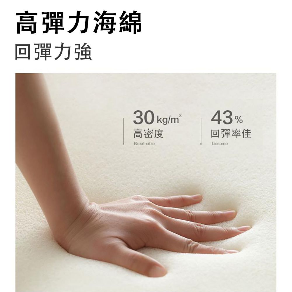 高彈力海綿回彈力強30kg/m²高密度Breathable43%回彈率佳Lissome