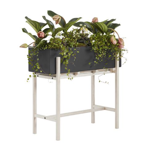 北歐櫥窗 Design House Stockholm Botanic Stand 園藝植栽架（高腳）