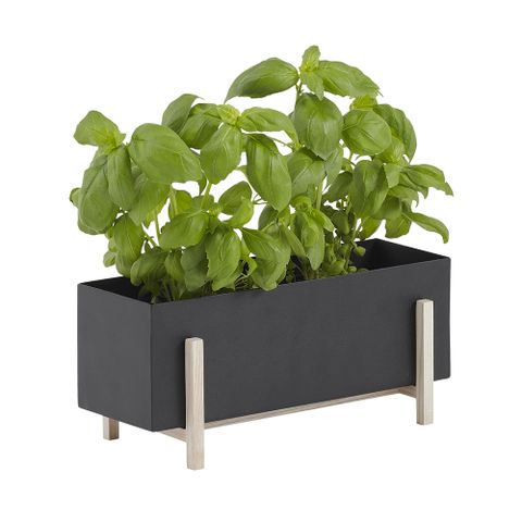 北歐櫥窗 Design House Stockholm Botanic Box 園藝植栽架（盒型）