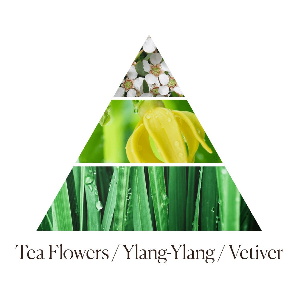 北歐櫥窗 Dr. Vranjes Firenze Green Flowers 綠野芳露 香氛噴霧 100ML