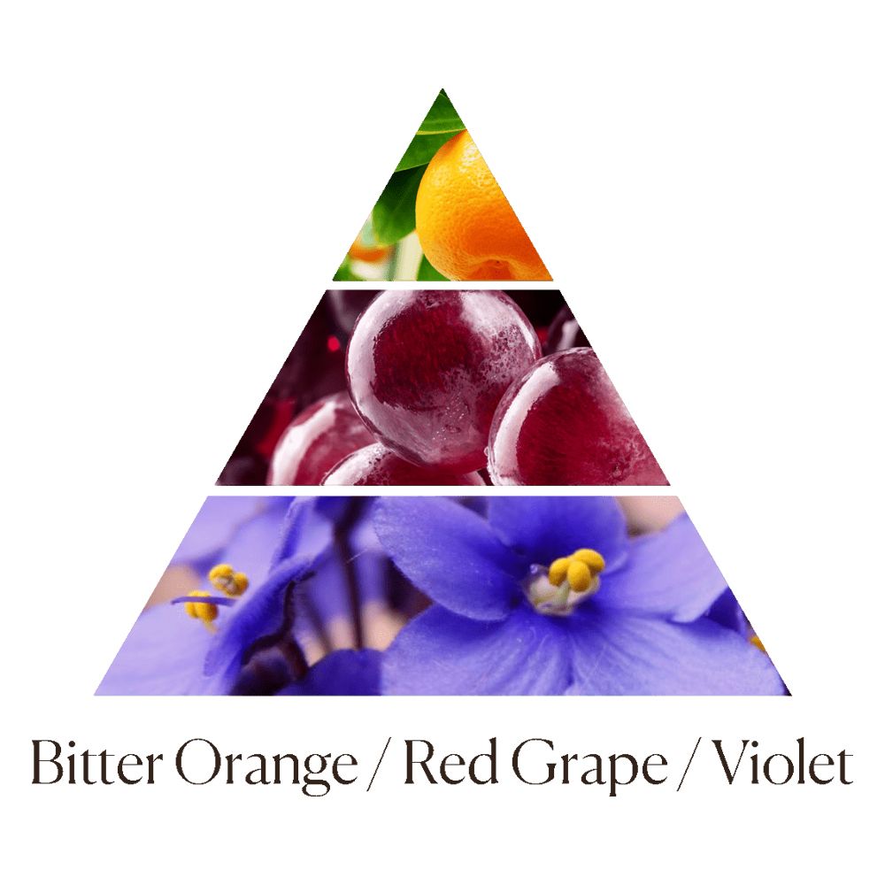 北歐櫥窗 Dr. Vranjes Firenze Arancio Uva Rossa 香榭葡萄園 純白香氛瓶 500ML