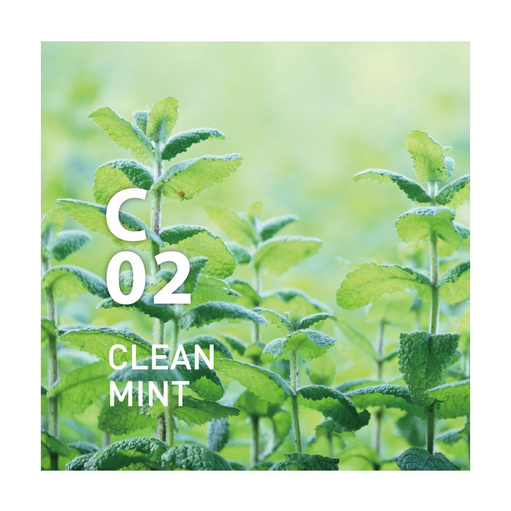 北歐櫥窗 @aroma Clean Air 淨化系列 C02 空氣香氛噴霧薄荷200ml