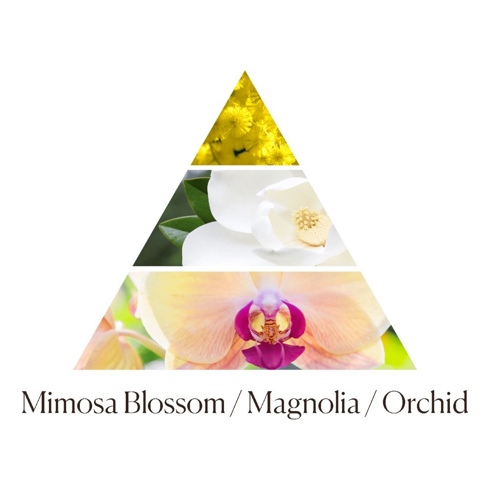 北歐櫥窗 Dr. Vranjes Firenze Magnolia Orchidea 幽谷香蘭 香氛瓶 250ML