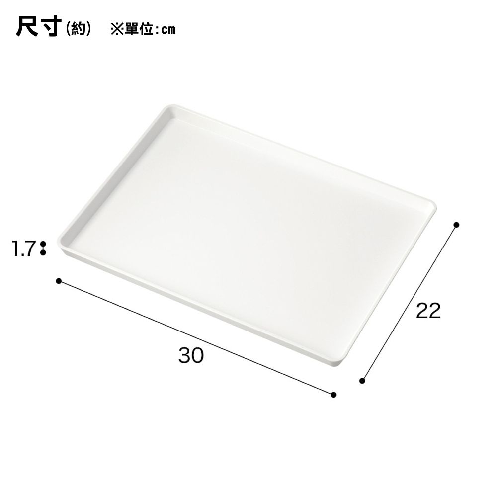 NITORI 宜得利家居 防滑托盤 WH S 3022