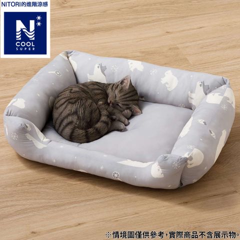 NITORI 宜得利家居 【DECO HOME商品】進階涼感 寵物床 方 DH N COOL SP BEAR GY M 白熊