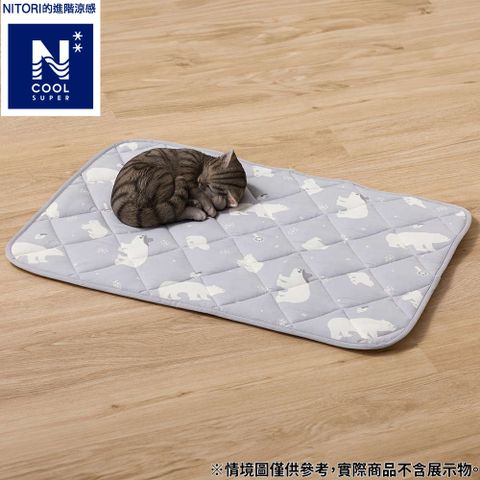 NITORI 宜得利家居 【DECO HOME商品】進階涼感 寵物用墊 DH N COOL SP BEAR GY L 白熊