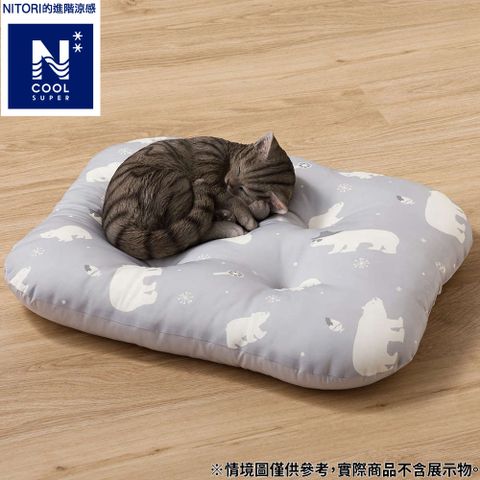 NITORI 宜得利家居 【DECO HOME商品】進階涼感 寵物靠墊 DH N COOL SP BEAR GY M 白熊