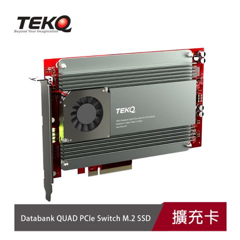 TEKQ (最多可插4條PCIe SSD )