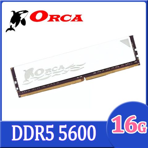 ORCA 威力鯨 DDR5 5600 16G 桌上型記憶體-白色