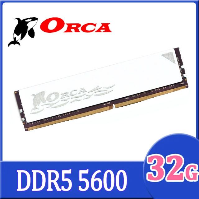 ORCA 威力鯨 DDR5 5600 32G 桌上型記憶體-白色