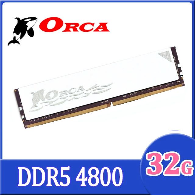 ORCA 威力鯨 DDR5 4800 32G 桌上型記憶體-白色