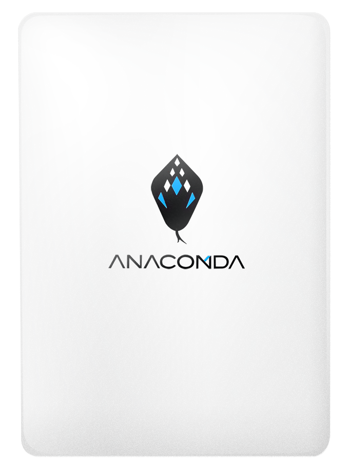 ANACOMDA 巨蟒  TT 1TB SSD R550MB/S,W500MB/S